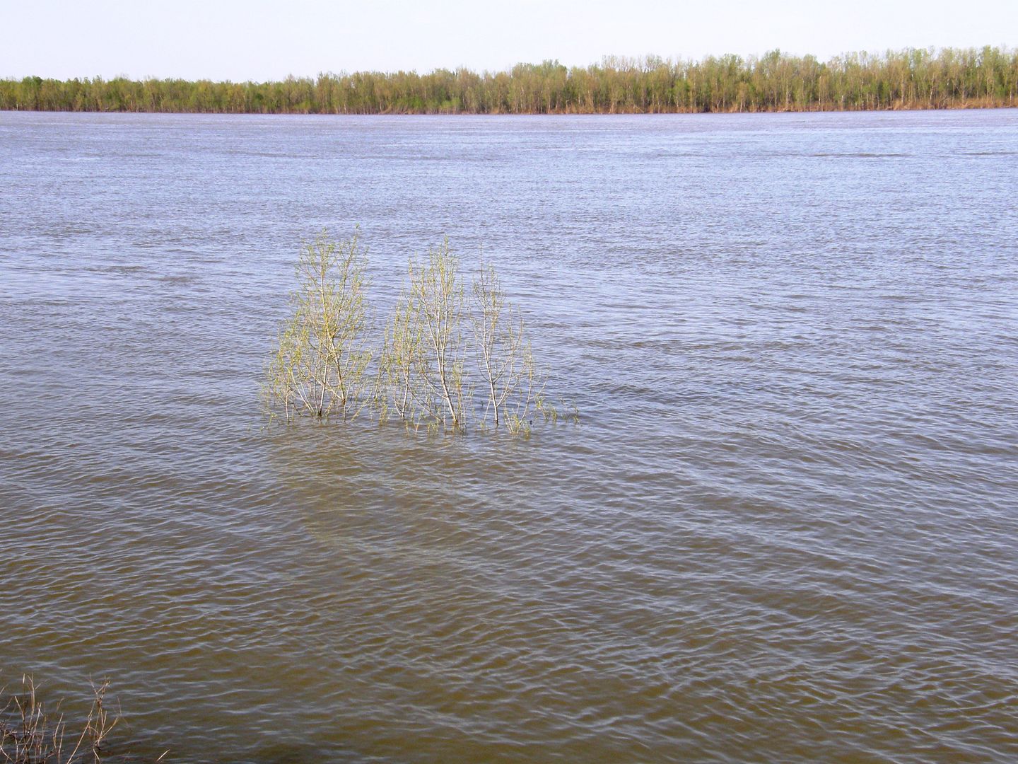 P1010503%20-%20Copy.jpg