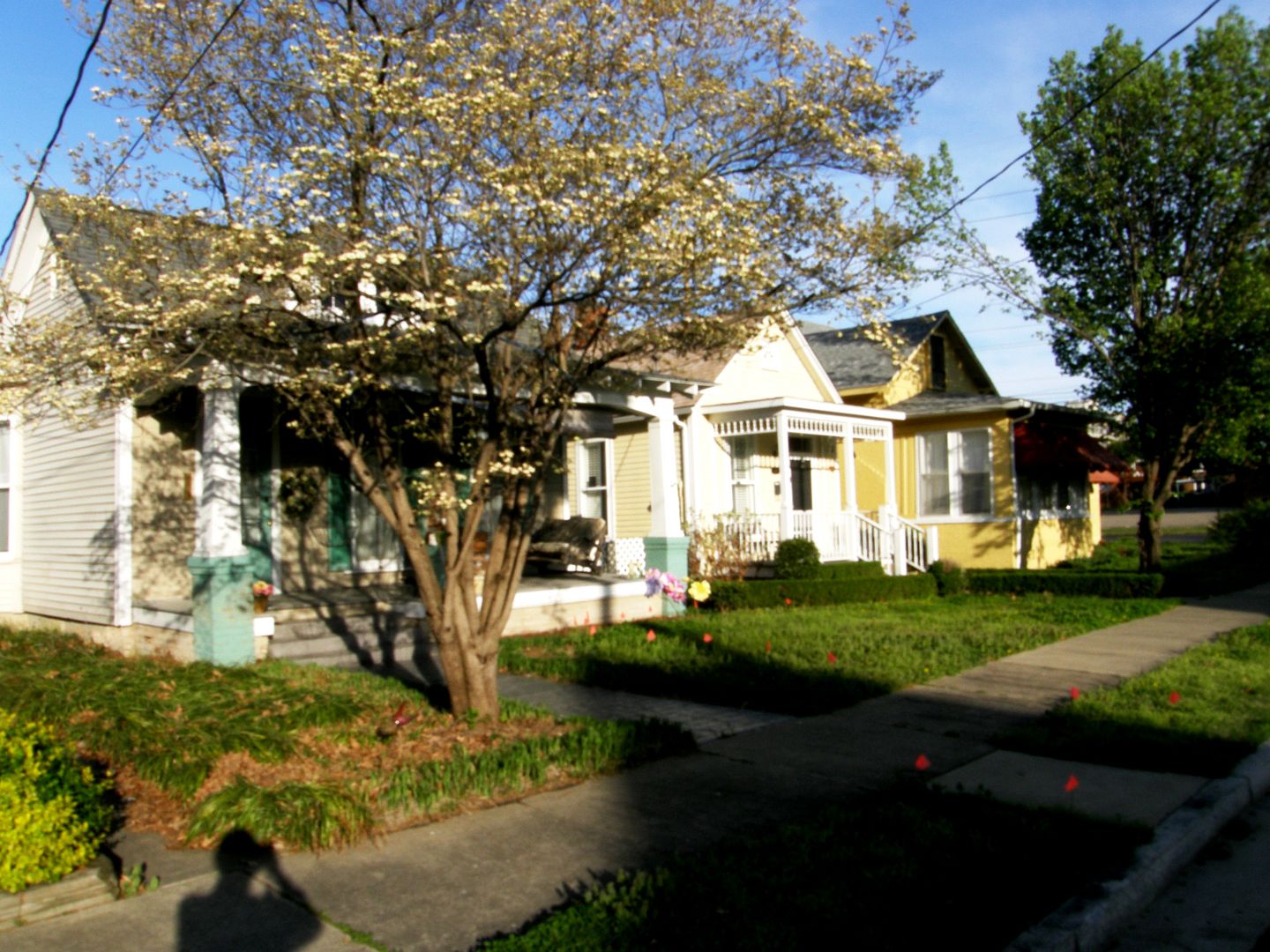 P1010507%20-%20Copy.jpg