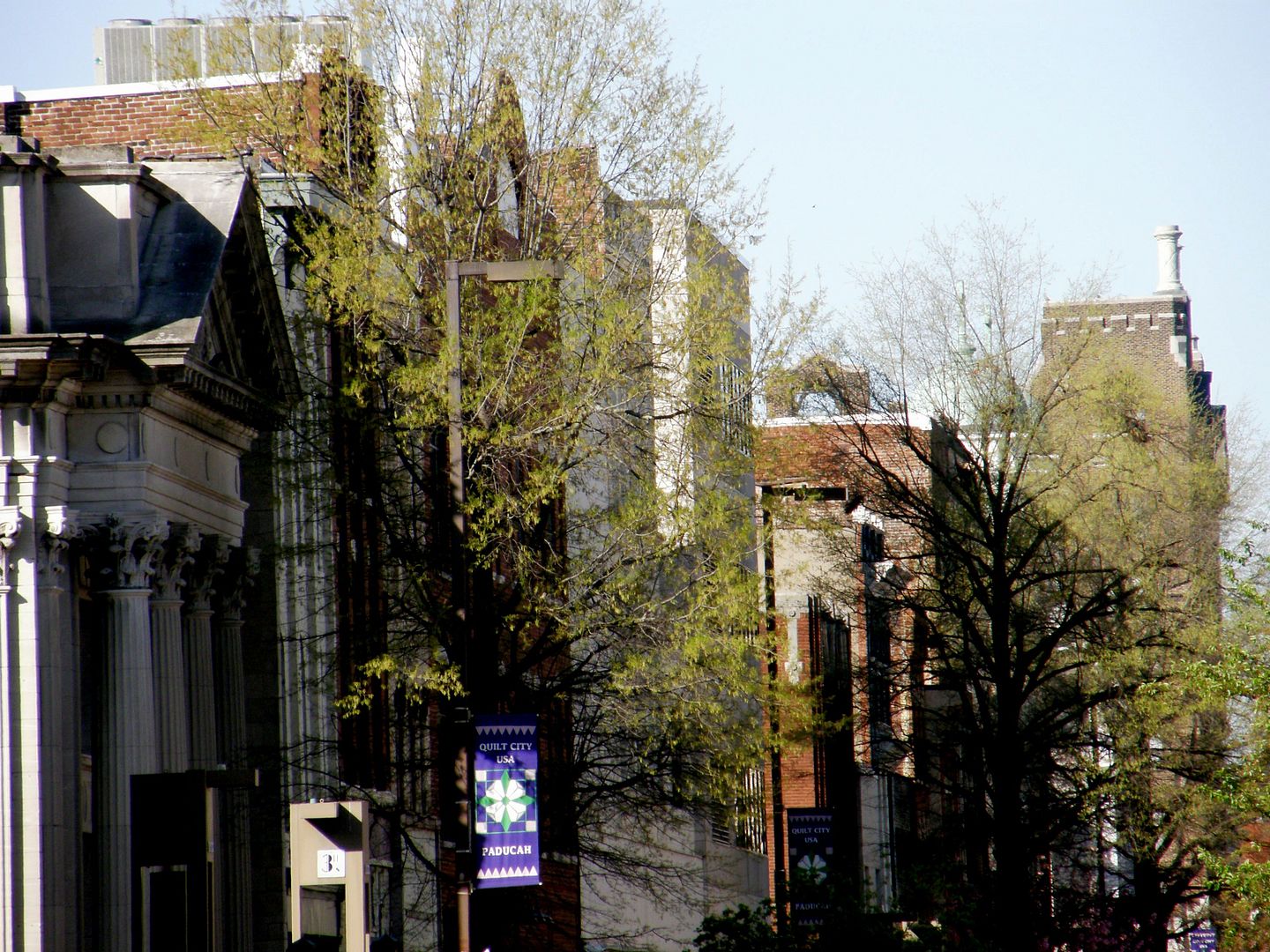 P1010532%20-%20Copy.jpg