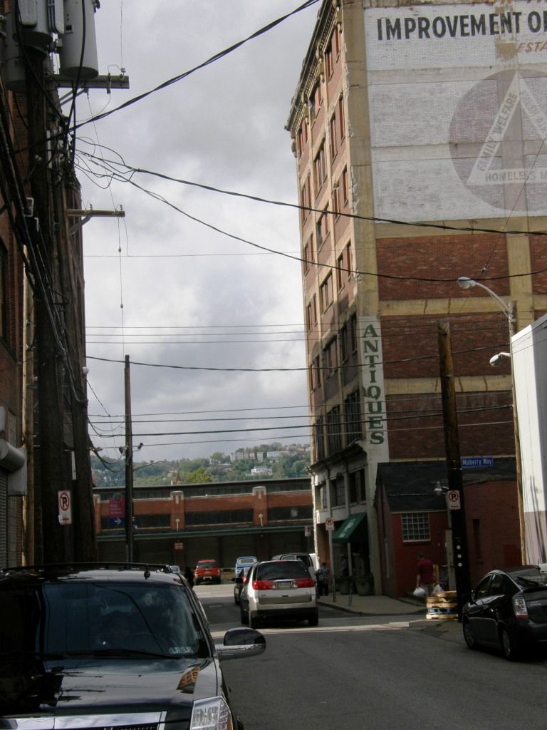 P9080158.jpg