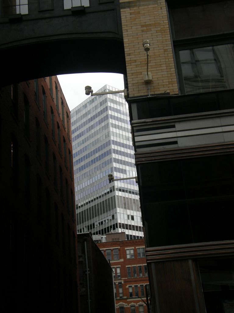 P9080178.jpg