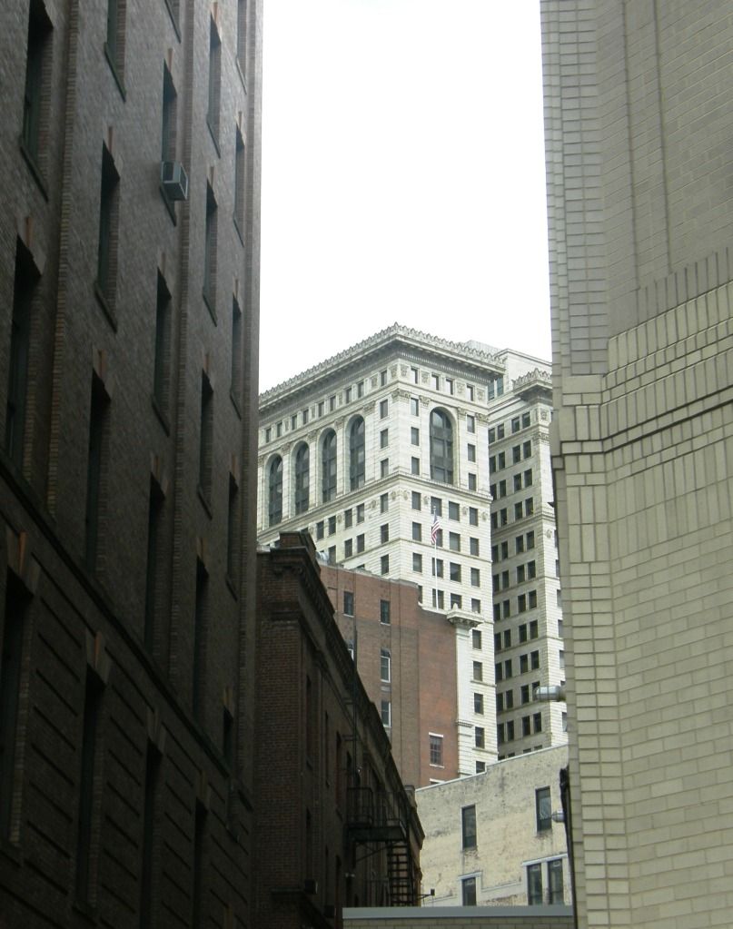 P9080182.jpg
