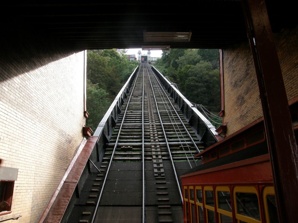 P9080199.jpg
