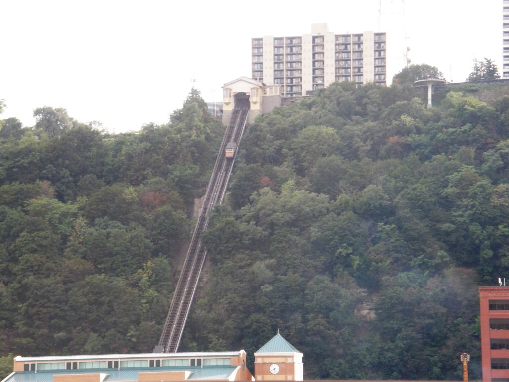 P9080240.jpg