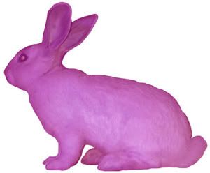 purple_bunny.jpg