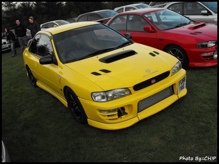 [Image: yellowscooby.jpg]