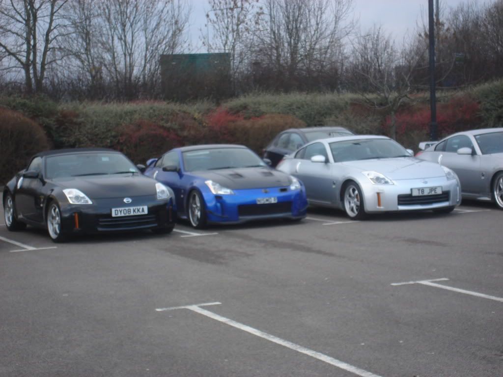 DSC03174.jpg