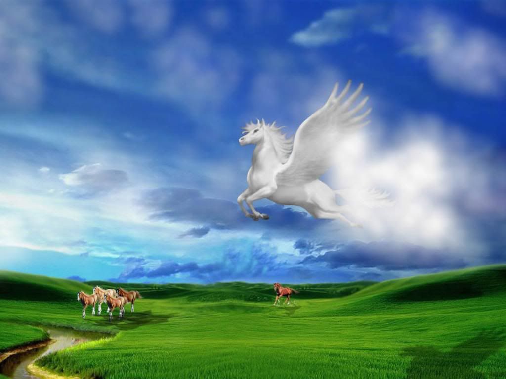 1285569399_1280x960_white-unicorn-flying-in-the-sky1.jpg