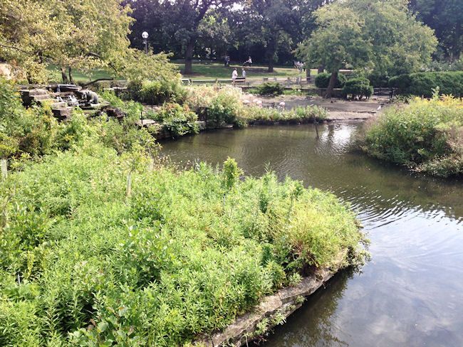 Lincoln Park Zoo