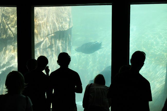 Brookfield Zoo
