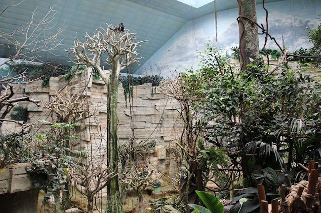 Brookfield Zoo