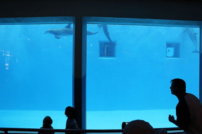 Brookfield Zoo