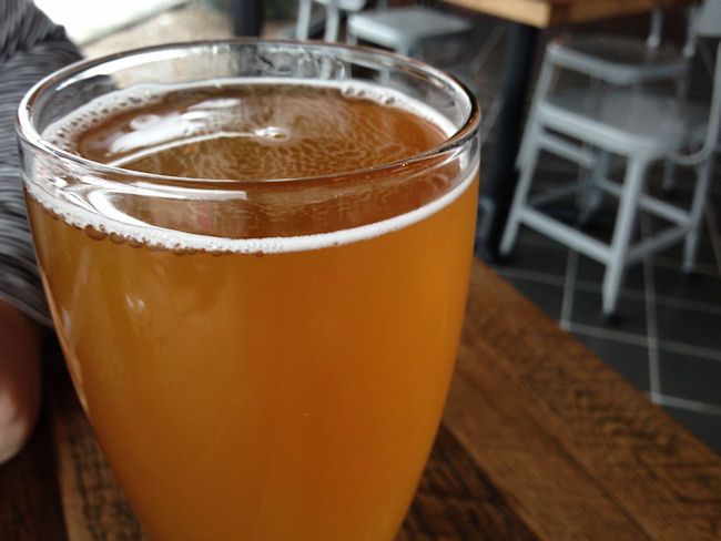 Gonzo's BiggDogg Brewing