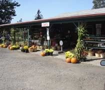 Gallaghers Farm Market Gallaghers Farm Market near Traverse City