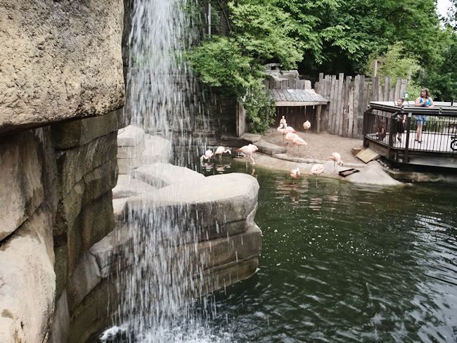 John Ball Zoo
