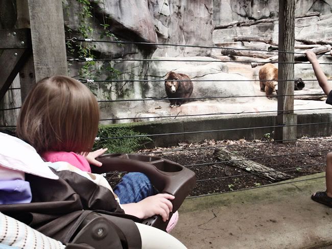 John Ball Zoo