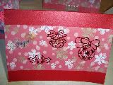DSC00217.jpg