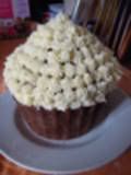 DSC05498-1.jpg