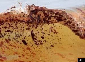 Toxic Wave Pictures, Images and Photos