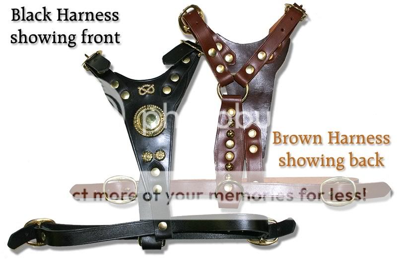 Fig 1. This listing is for a BLACK harness. The brown one is there so 