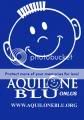 aquilone blu2