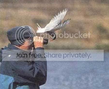 image007.jpg