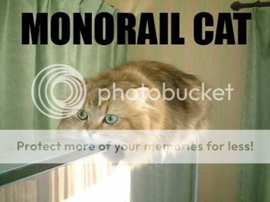 Monorail Cat