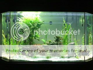 GLO T5HO SINGLE 24 40 AQUARIUM LIGHT SYSTEM FREE TIMER  