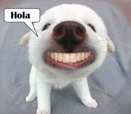 hola-1.jpg