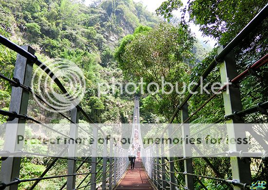 ladder suspension bridge