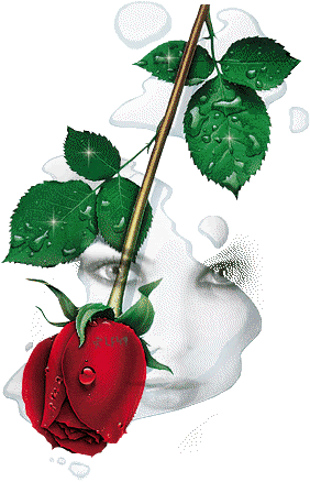 wet_rose-3251-1.gif
