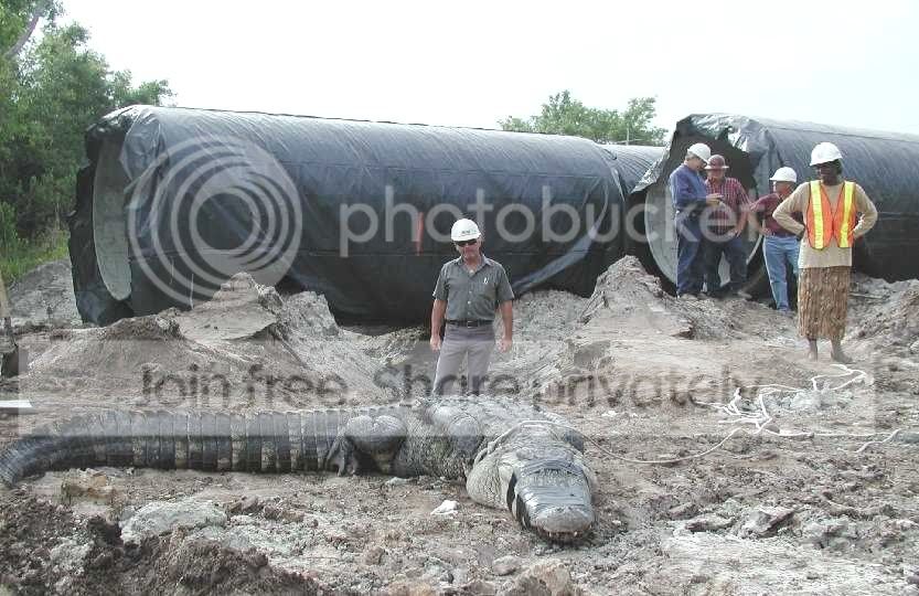jox1.jpg